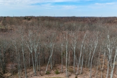 DCIM/100MEDIA/DJI_0582.JPG