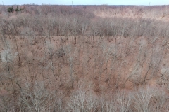 DCIM/100MEDIA/DJI_0583.JPG