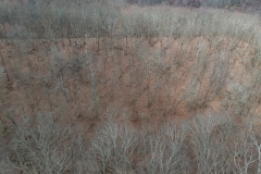 DCIM/100MEDIA/DJI_0584.JPG