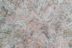 DCIM/100MEDIA/DJI_0585.JPG